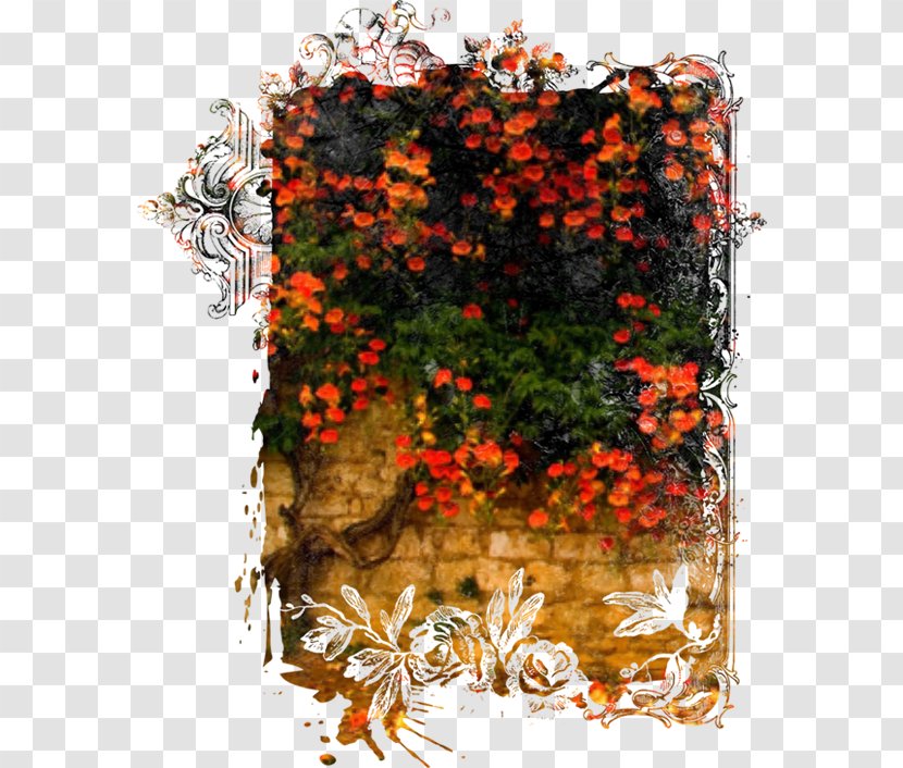 Floral Design Photography Autumn - Adobe Systems Transparent PNG