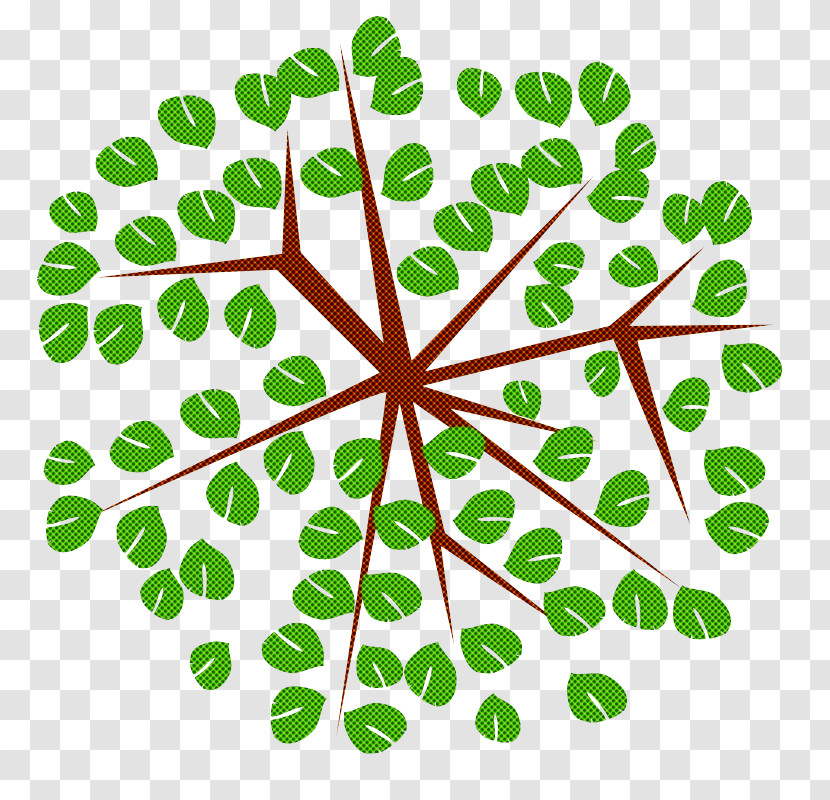 Green Leaf Plant Flower Plant Stem Transparent PNG