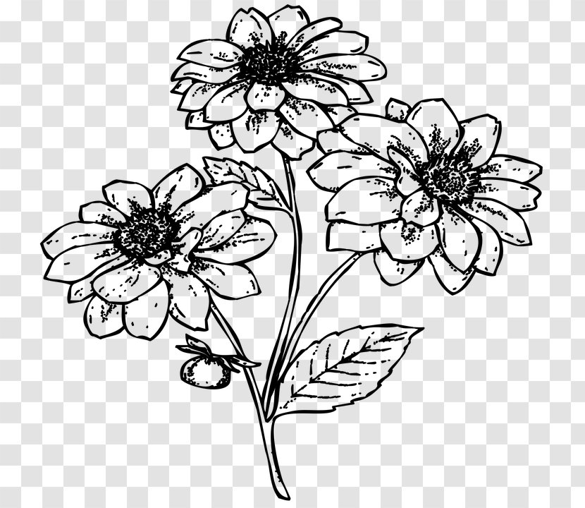 Floral Design Flower /m/02csf Black & White - Art - M Drawing Transparent PNG