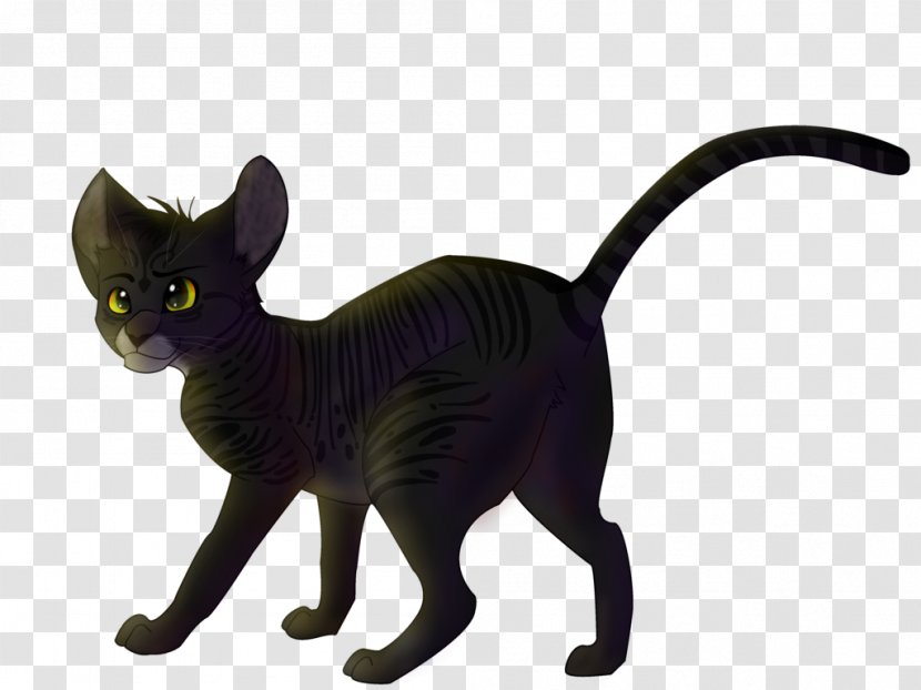 Korat Black Cat Kitten Whiskers Domestic Short-haired - Burmese Transparent PNG