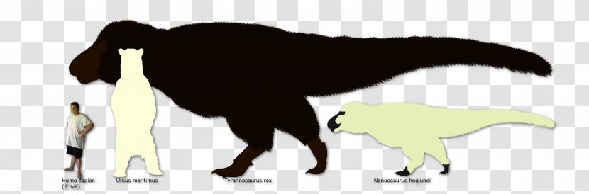 Cat Nanuqsaurus Polar Bear Tyrannosaurus Dog - Tail Transparent PNG