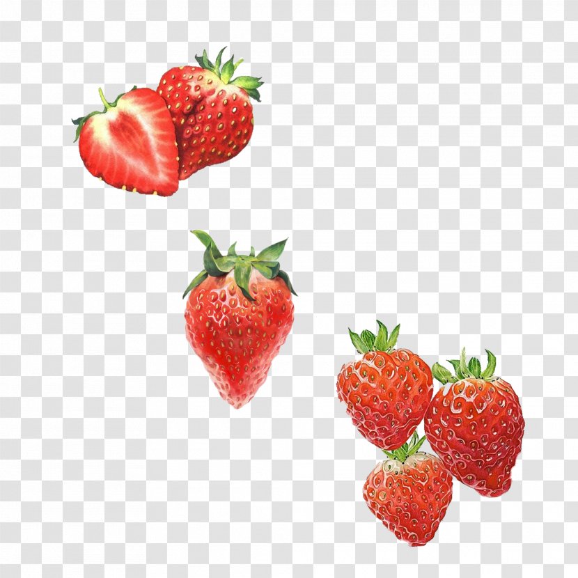 Amorodo Drawing Computer File - Fruit - Free Hand-painted Strawberry Pull Material Transparent PNG