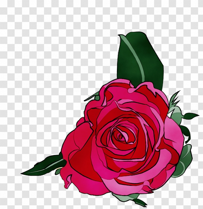 Garden Roses Transparent PNG