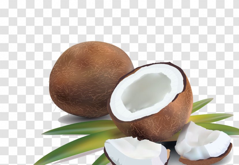 Coconut Water Milk Royalty-free Transparent PNG