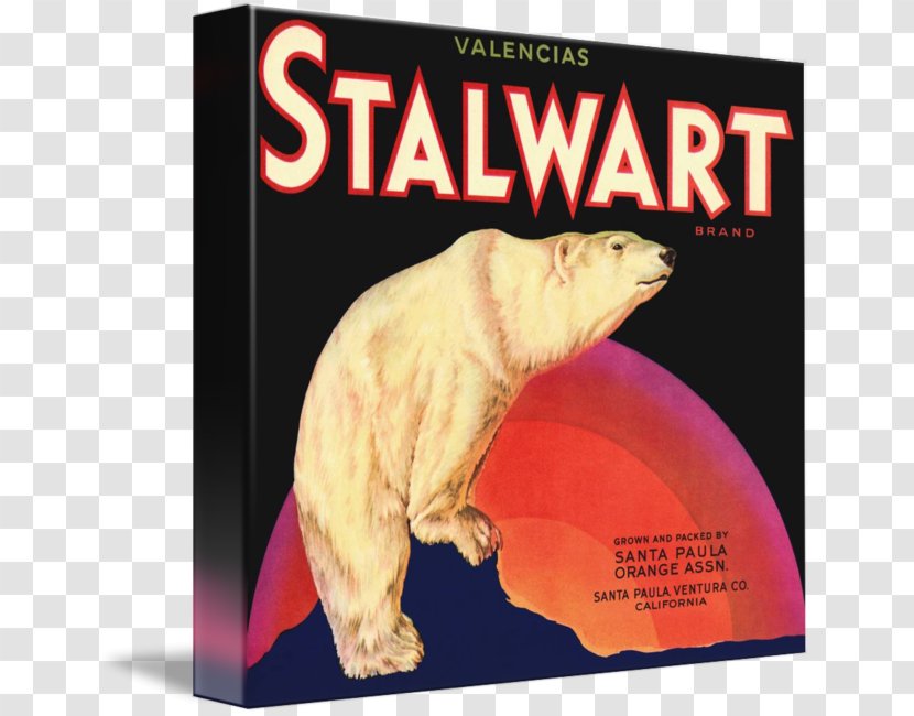 Polar Bear Carnivores Advertising Fauna Transparent PNG