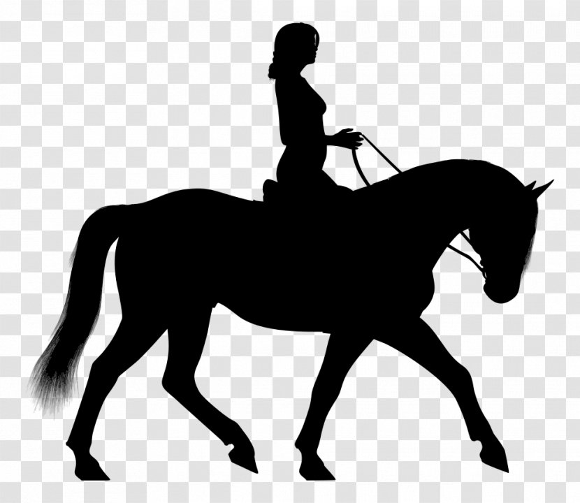 Horse&Rider Equestrian English Riding Clip Art - Bridle - Horse Transparent PNG