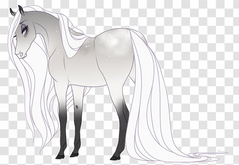 Mane Foal Mustang Stallion Colt - Pack Animal - Fantasy Horse Transparent PNG