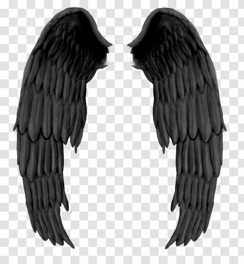 DeviantArt Angel Drawing - Frame - Black Evil Wings Transparent PNG