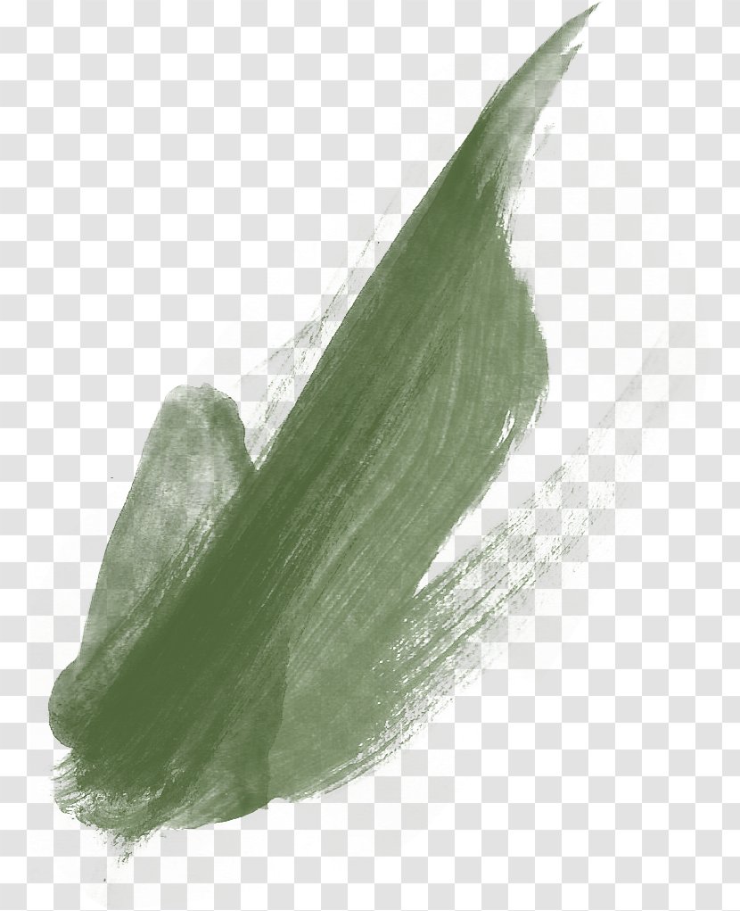 Paintbrush Green Pigment - Paint Marker - Pen Marks Transparent PNG