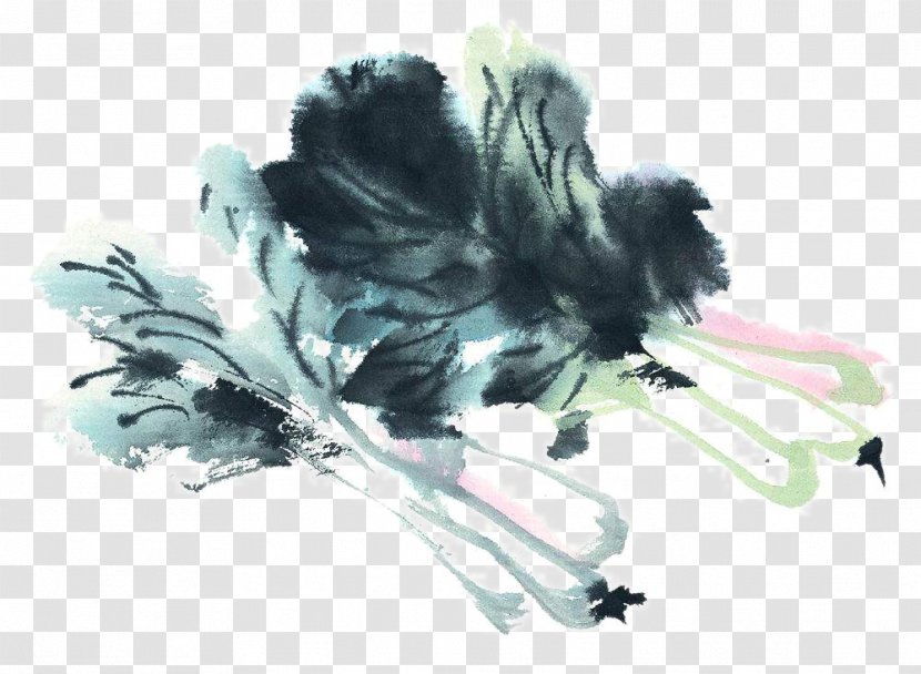 U7e6au756bu85ddu8853 U4e2du570bu5de5u7b46u756b Ink Wash Painting Chinese Vegetable - Art - Cabbage Transparent PNG
