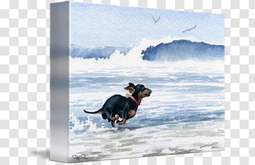 Dachshund Dog Breed Watercolor Painting Art - Work Of Transparent PNG