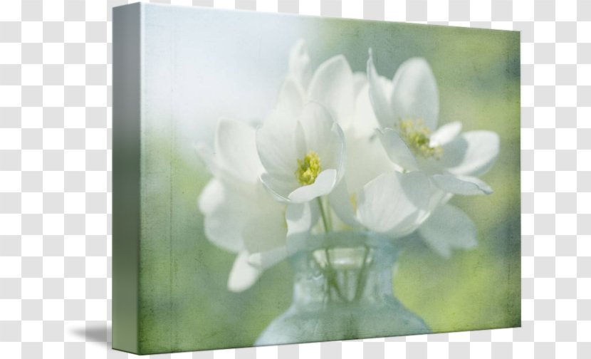 Gallery Wrap Floral Design Art Canvas - Floristry Transparent PNG