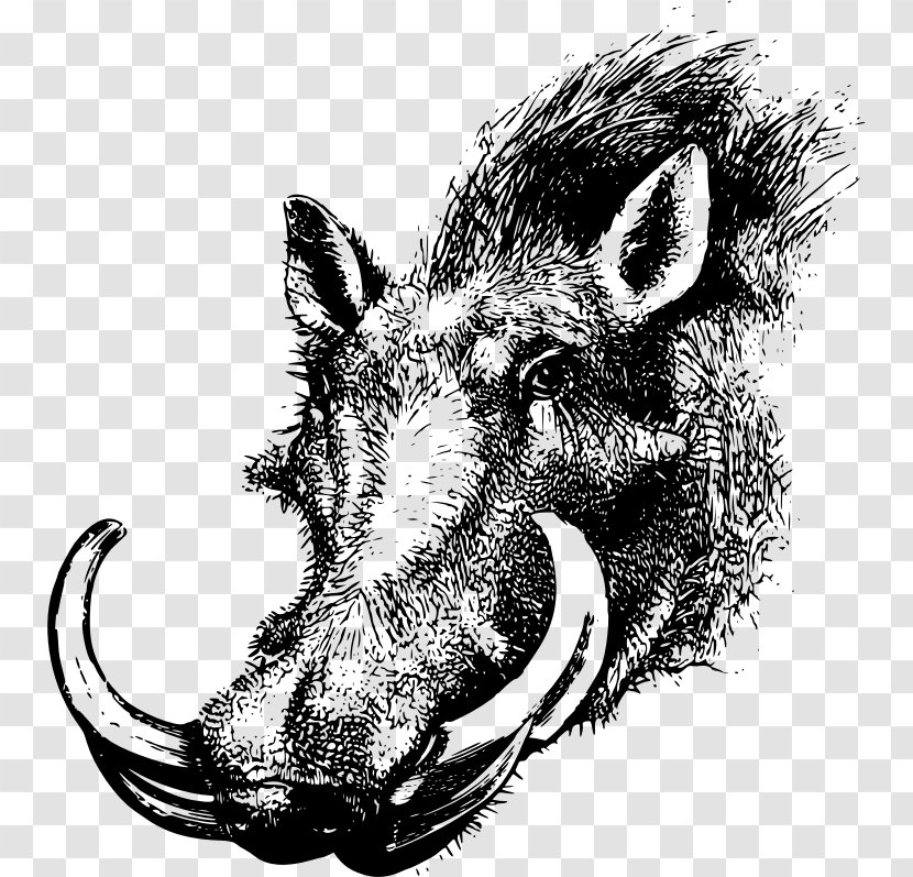 Common Warthog Wild Boar Clip Art - Fauna - Drawing Transparent PNG