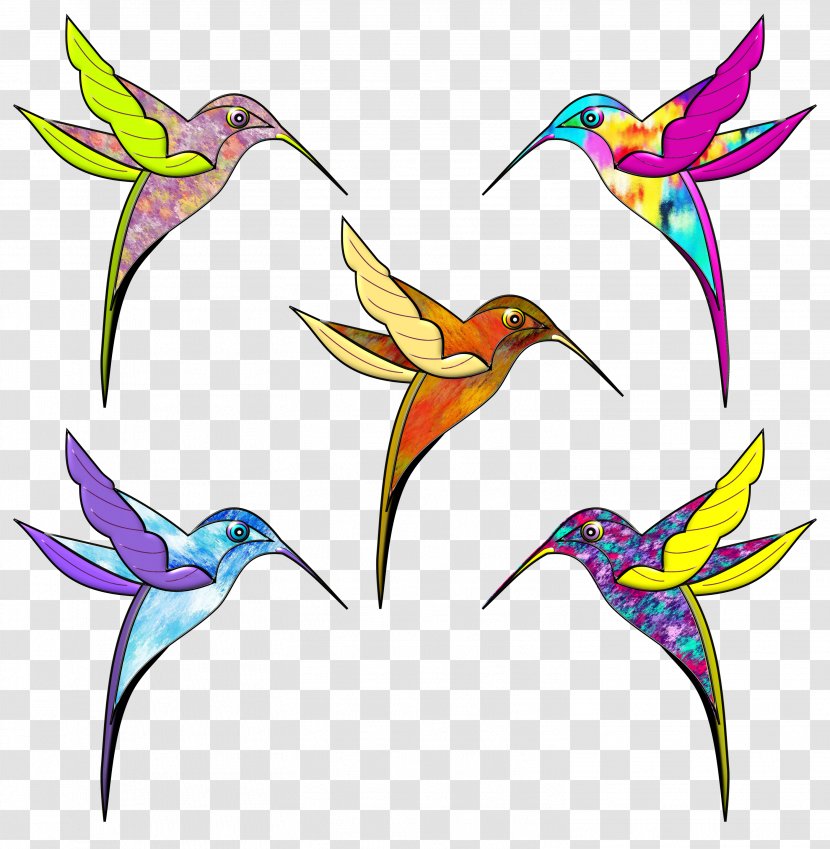 Hummingbird Drawing Color Beak Clip Art - Flora - Colibri Paint Transparent PNG