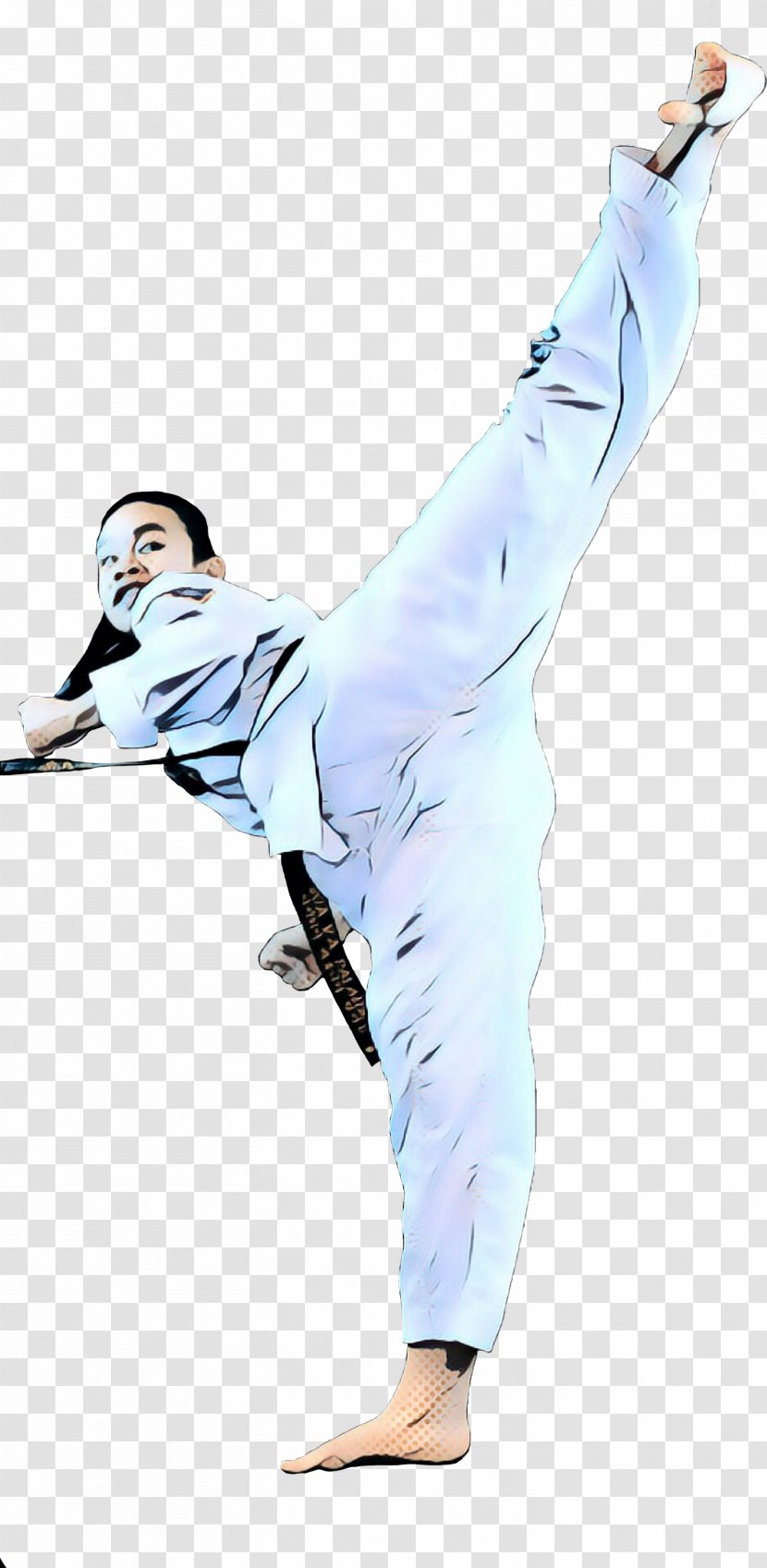 Costume - Wushu - Baguazhang Transparent PNG