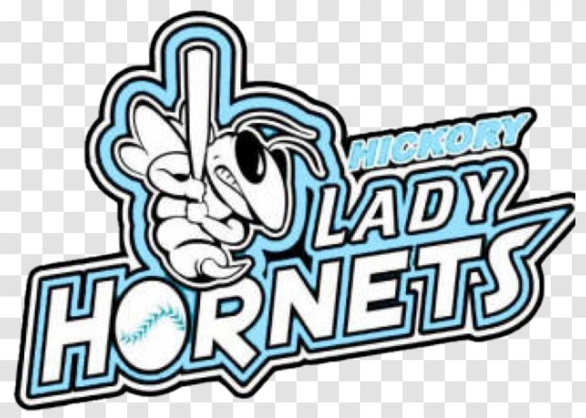 Charlotte Hornets Bad Homburg Softball Baseball - Brand - Hornet Transparent PNG