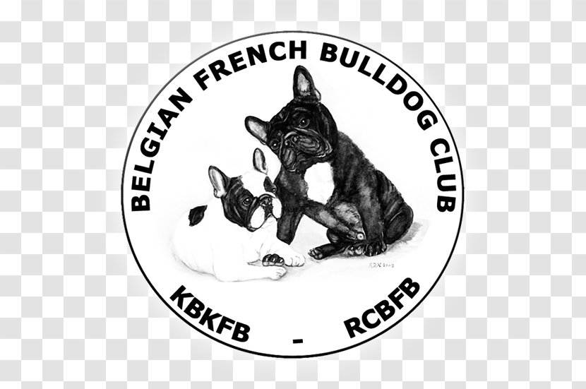 Boston Terrier French Bulldog Dog Breed Puppy Transparent PNG