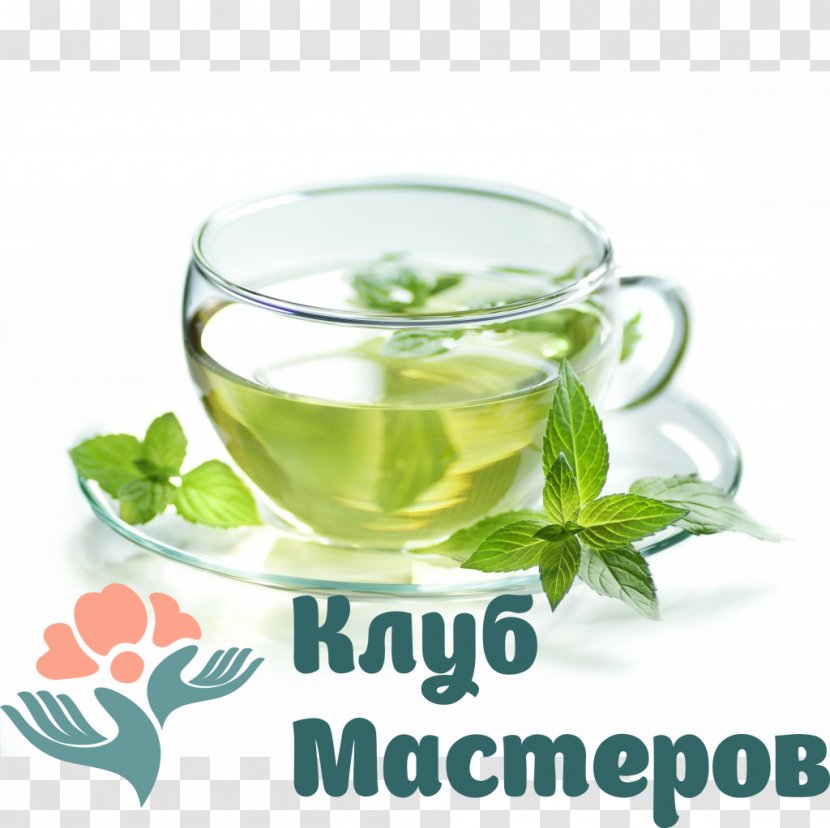 Green Tea Matcha Weight Loss White - Yellow Transparent PNG
