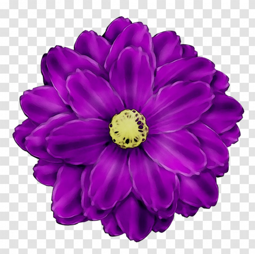 Dahlia Cut Flowers Transvaal Daisy Chrysanthemum - Zinnia - Gerbera Transparent PNG