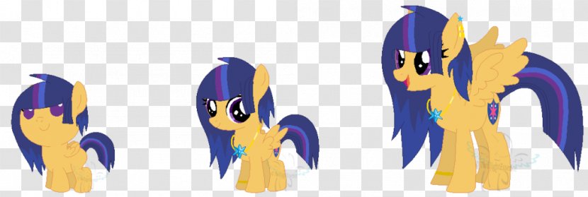 Twilight Sparkle Pony Princess Cadance Nova Celestia - Wedding Timeline Transparent PNG