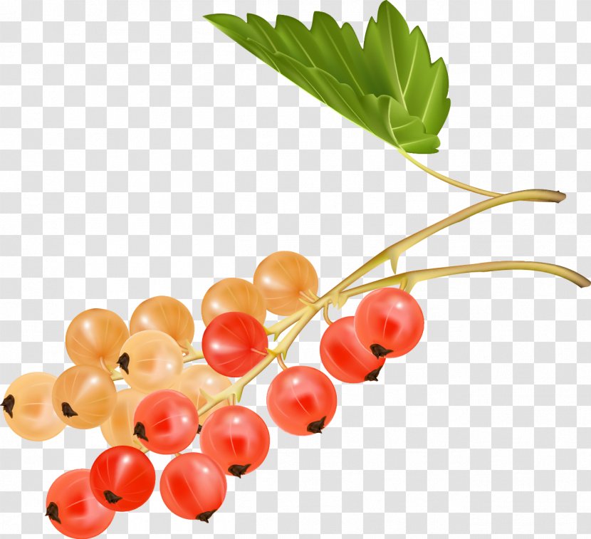 Zante Currant Cherry Auglis Grape - Fruit - Berries Transparent PNG