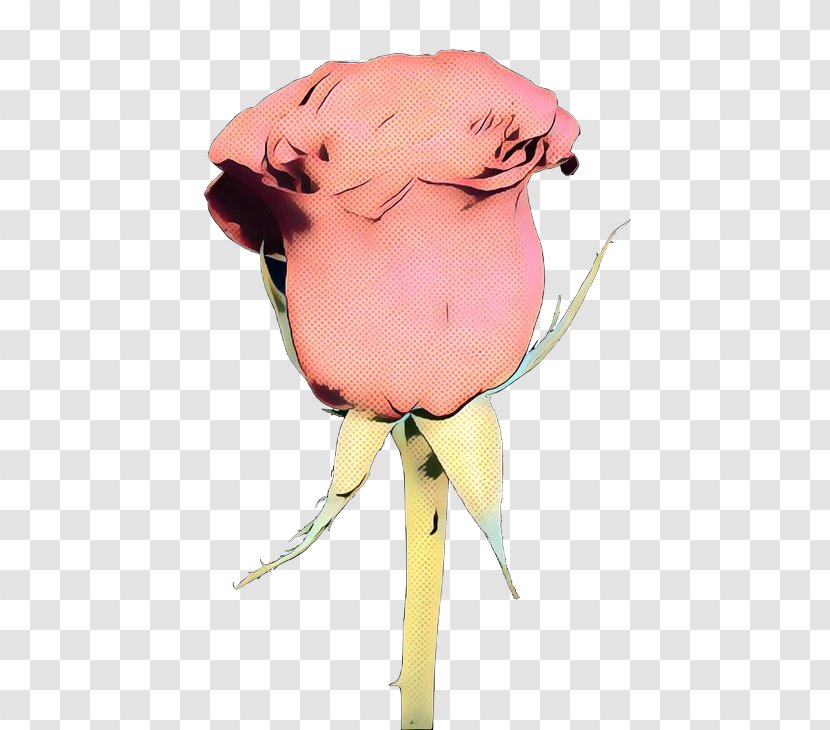 Pink Flower Cartoon - Smile Transparent PNG
