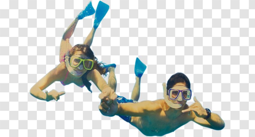 Diving & Snorkeling Masks Scuba Clip Art - Leisure - Dolphin Cartoon Transparent PNG