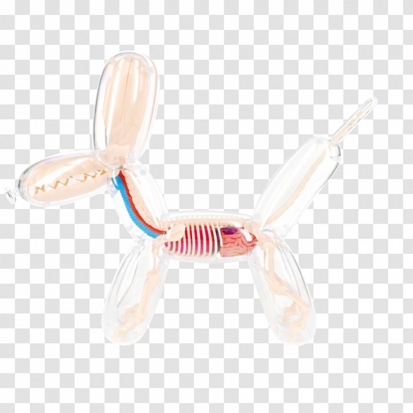 Balloon Dog Anatomy Human Skeleton - Frame Transparent PNG