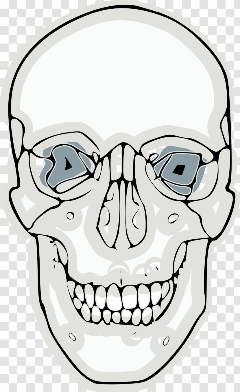 Skull And Crossbones Clip Art - Anatomy Vector Transparent PNG