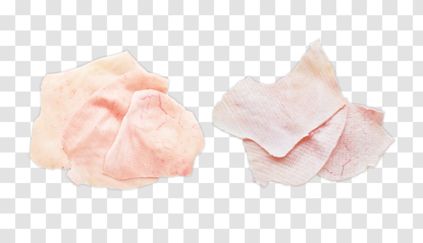 Pink M Petal - Pork Belly Transparent PNG