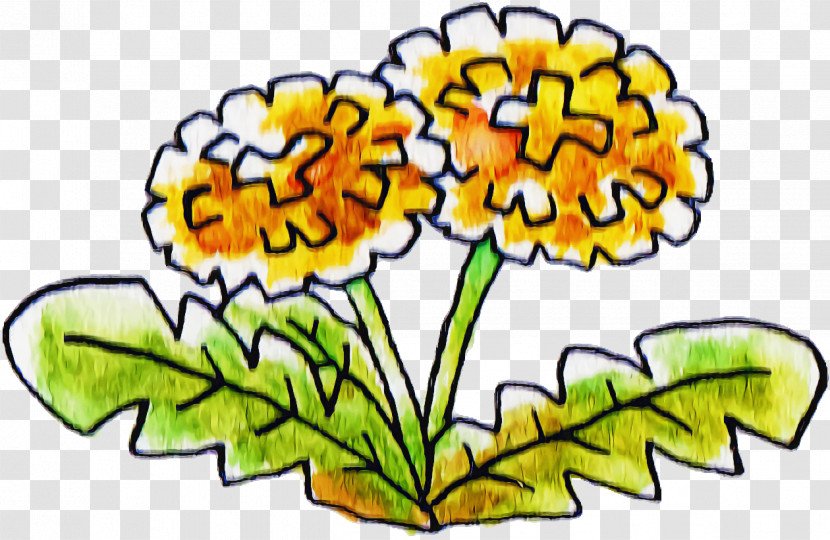 Floral Design Transparent PNG