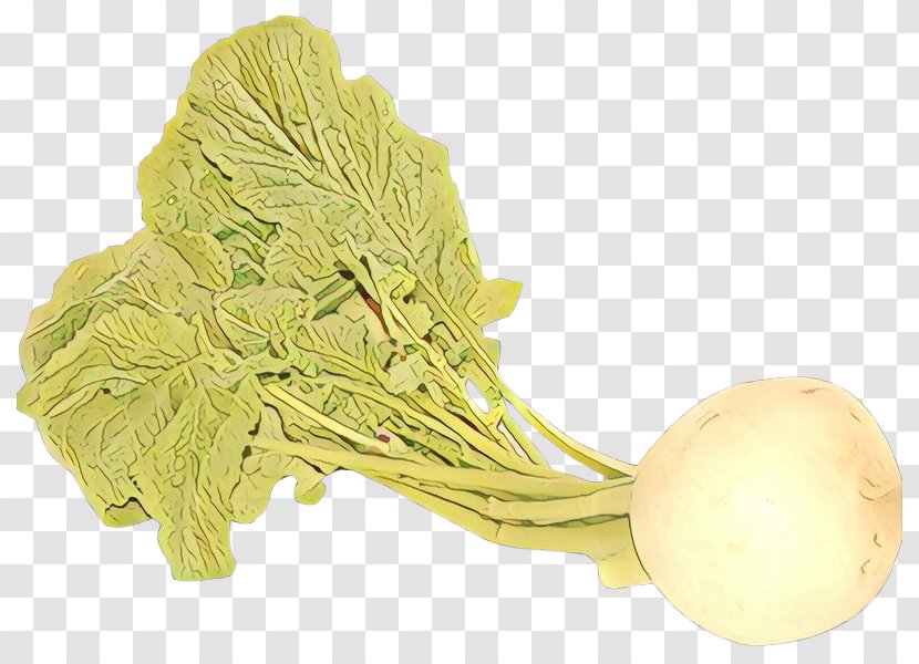Vegetable Turnip Food Leaf Wild Cabbage - Plant Transparent PNG