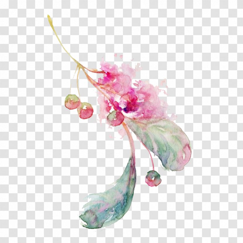 Watercolor Painting Drawing - Flora - Cherry Illustration Transparent PNG