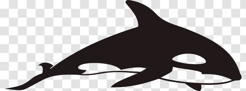 Silhouette Black And White Photography Drawing Dolphin - Killer Whale Transparent PNG