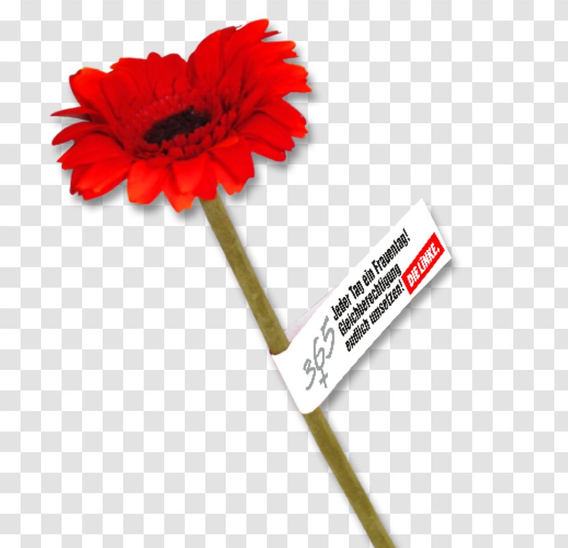 Social Equality Society Paper Transvaal Daisy The Left - Rightwing Politics - Banderole Transparent PNG