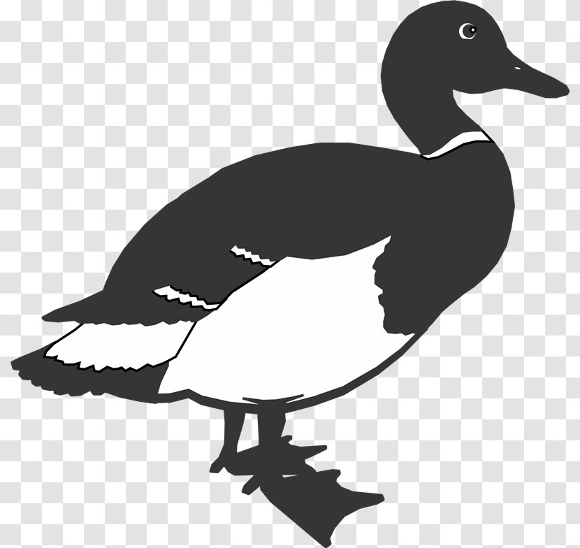 Duck Goose Bird Vector Space - Silhouette - Cr Transparent PNG