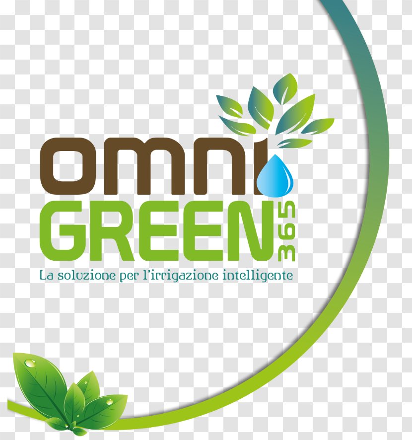 Logo Brand Green Font Leaf - Area - House Selling Transparent PNG