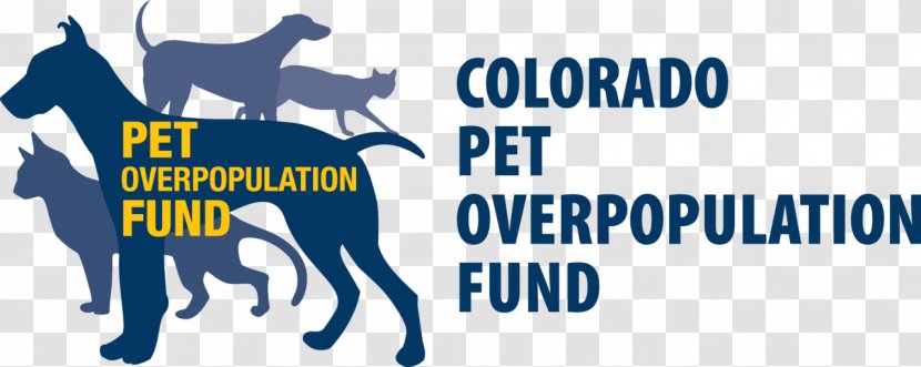 Horse Cat Dog Colorado Overpopulation In Domestic Pets - Brand Transparent PNG