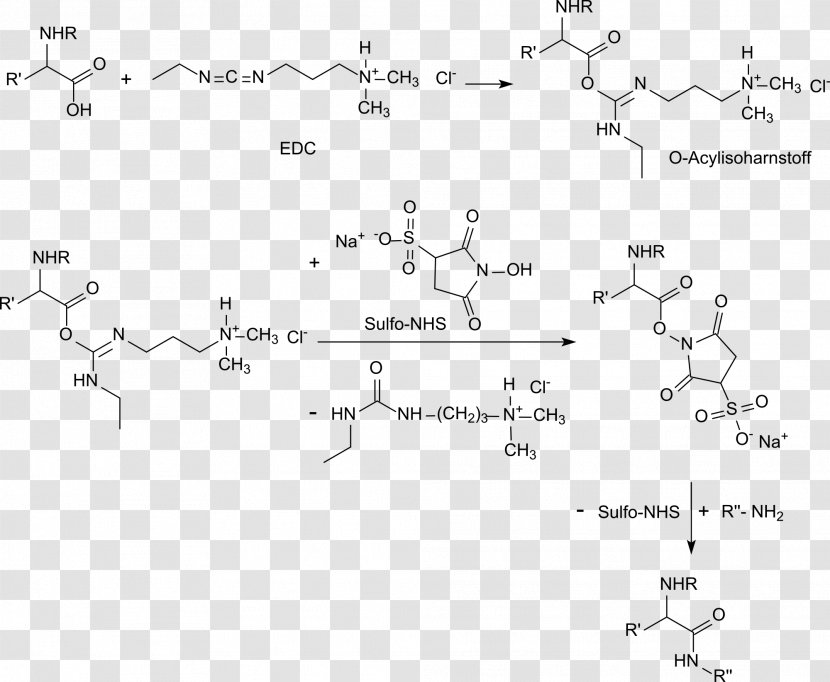 N-Hydroxysulfosuccinimide Sodium Salt N-Hydroxysuccinimide Hydroxybenzotriazole PH Carboxylic Acid - Text - Metabisulfite Transparent PNG