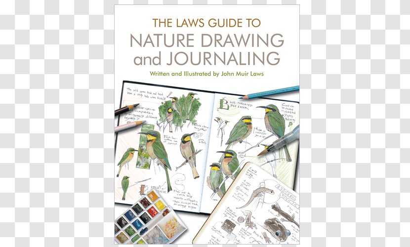 The Laws Guide To Nature Drawing And Journaling Sketchbook For Paperback - Text - Book Transparent PNG