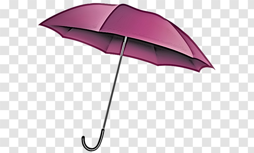 Umbrella Violet Leaf Purple Pink - Magenta Plant Transparent PNG