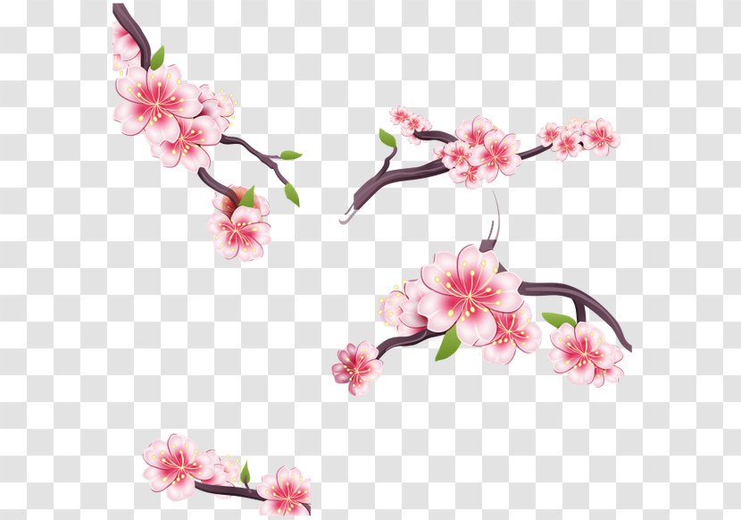 Cherry Blossom Flower Clip Art - Cartoon Transparent PNG