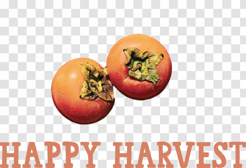 Tomato Transparent PNG