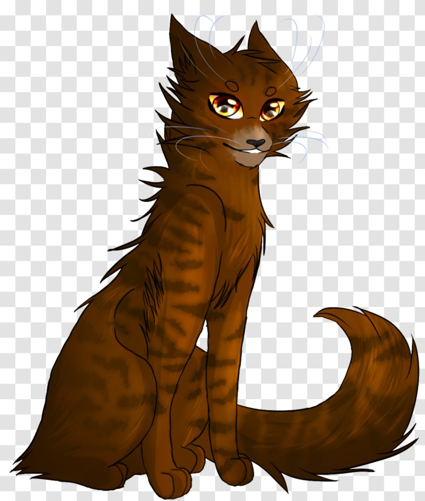 Wildcat Tabby Cat Whiskers Red Fox - Ok Bye Transparent PNG