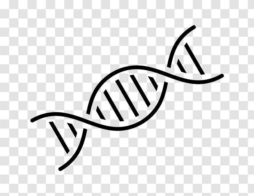 DNA Nucleic Acid Double Helix Genetics - Calligraphy Transparent PNG