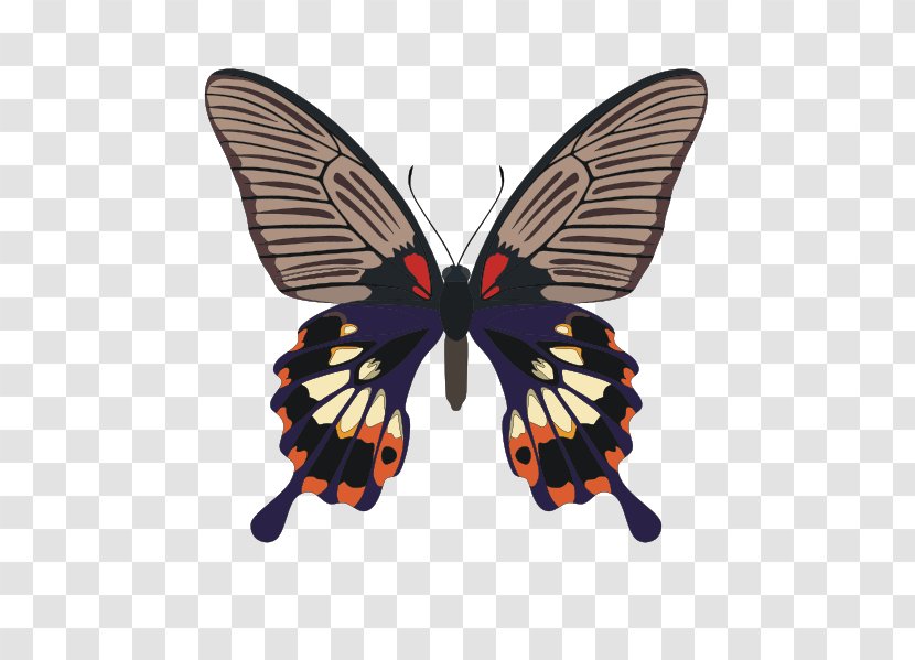 Butterfly Papilio Memnon Palinurus Insect Scarlet Mormon Transparent PNG