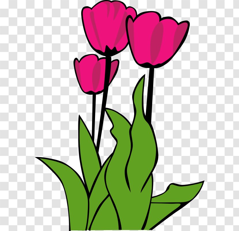 Free Content Tulipa Gesneriana Flower Clip Art - Sylvestris - Tulips Image Transparent PNG