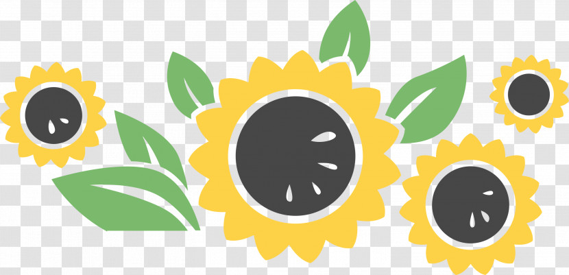 Sunflower Summer Transparent PNG