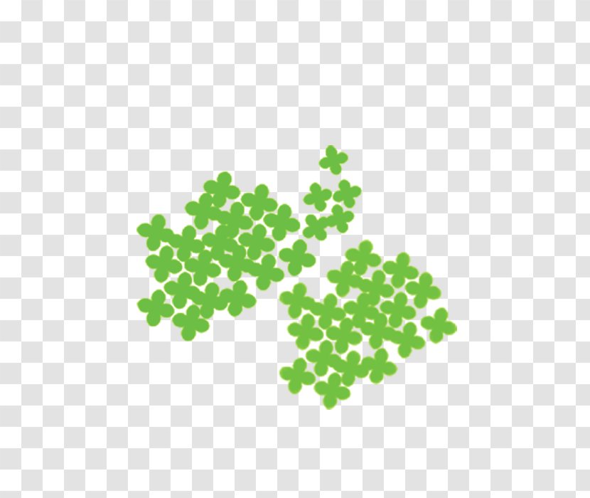 Green Leaf - Clover Transparent PNG