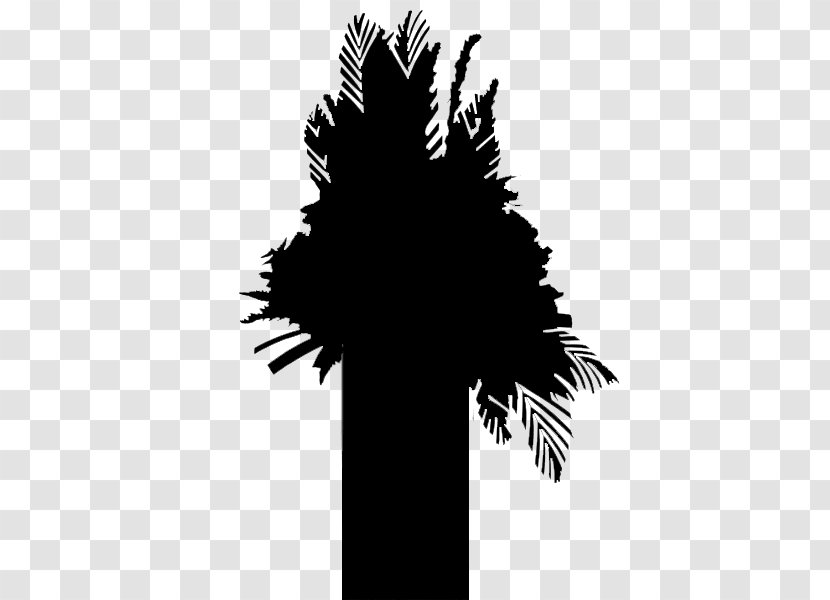Palm Trees Font Silhouette Leaf - Black Transparent PNG
